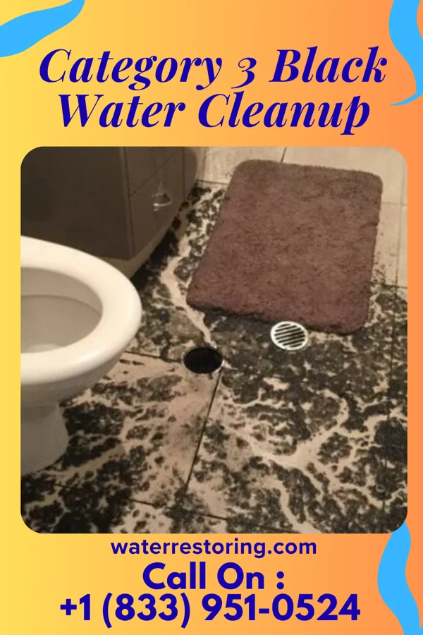 Category 3 Black Water Cleanup in Beverly Beach, FL
