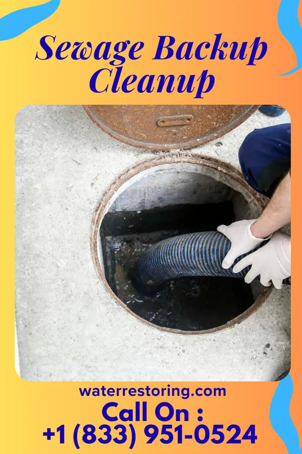 Sewage Backup Cleanup in Beverly Beach, FL